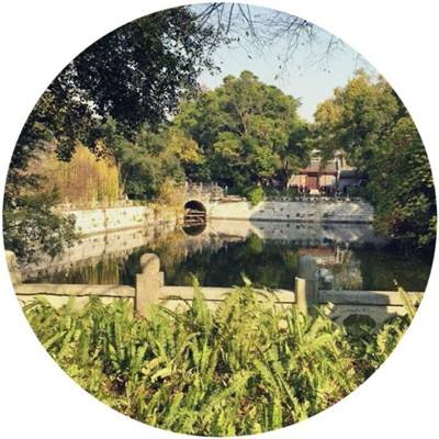 镜头后的话语权博弈：“他者”与“自我”视阈下的中国